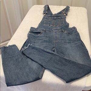 Free People Classic Blue Denim Overalls